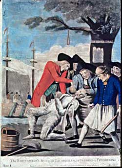 The Stamp Act Protests