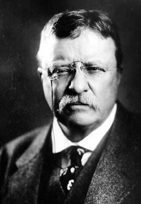 Theodore Roosevelt Portrait, 1905.